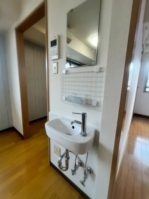 ヒルズ西竹ノ塚 洗面所