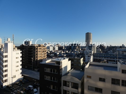 ダイナ大島 眺望