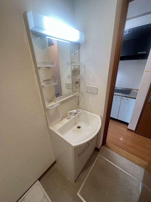プレシャス　ジュノー 洗面所