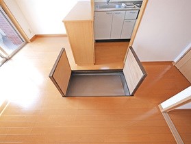ルネ　シェスタ  その他