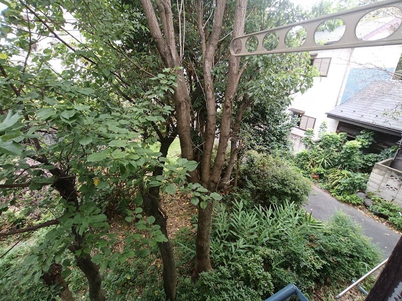 田口荘 眺望