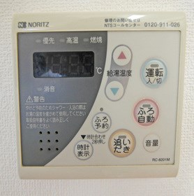 ルネ　シェスタ  その他