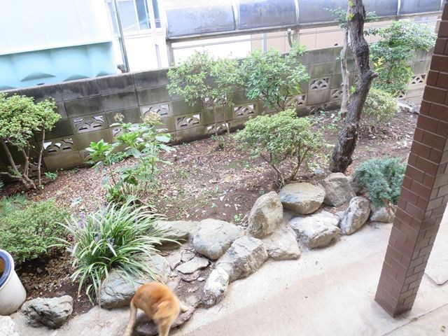 アーバンプレイス高野 眺望