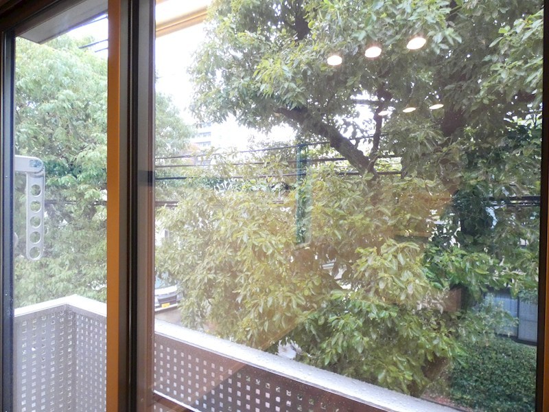 OLIVEⅡ ベランダ