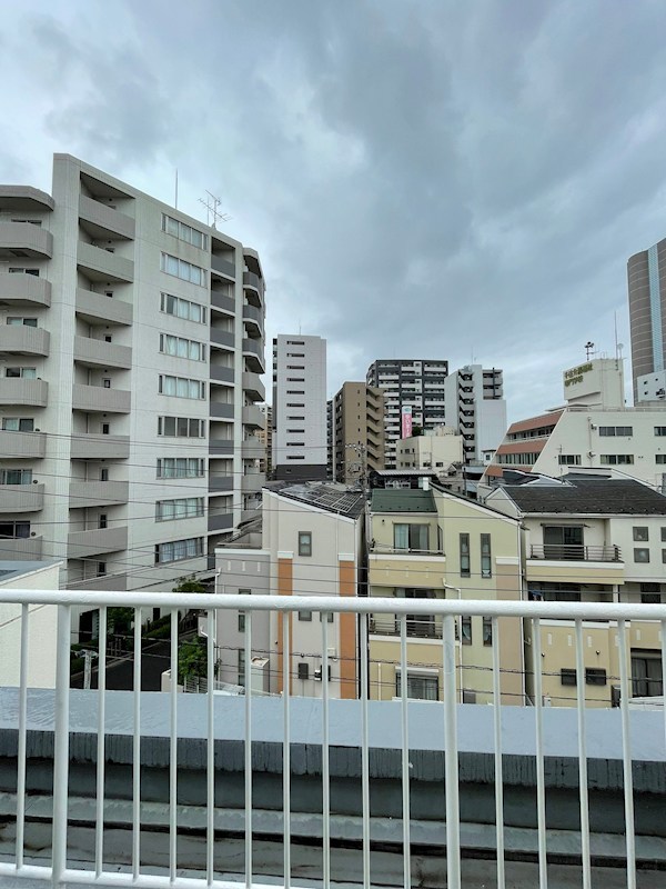 パール仲町マンション 眺望