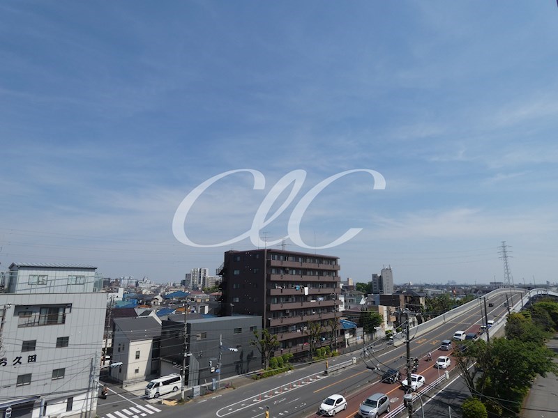 ヤングウッズ 眺望