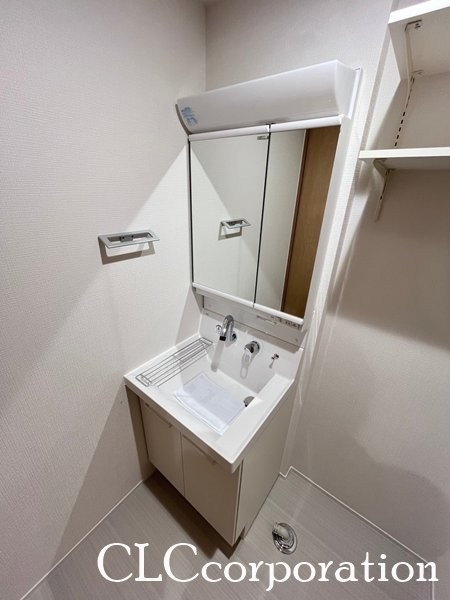 メゾン新和 洗面所