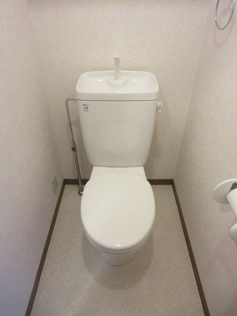スカイマンション トイレ