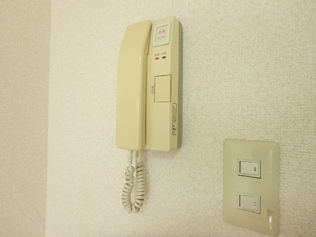 ヴィオラ セキュリティ