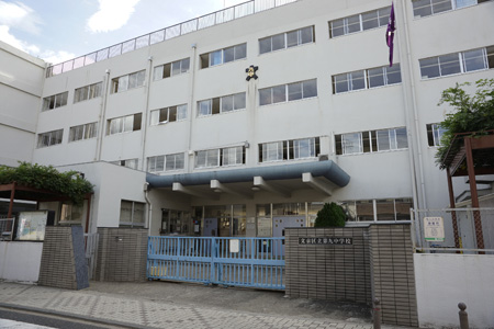 エーデルワイス 中学校