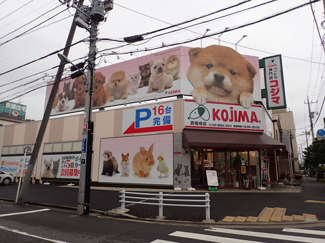Ｗｏｏｄｙ　Ｐａｒｋ その他