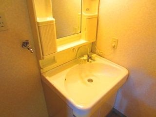 フレグランスⅤ 洗面所