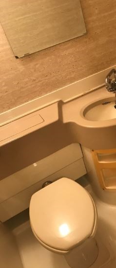 シンセイビル  トイレ