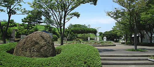 なぎさニュータウン 公園