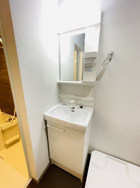 エアフォルク新小岩 洗面所
