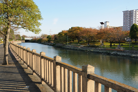 オルハレ 公園