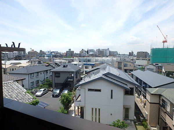 ラクダ 眺望