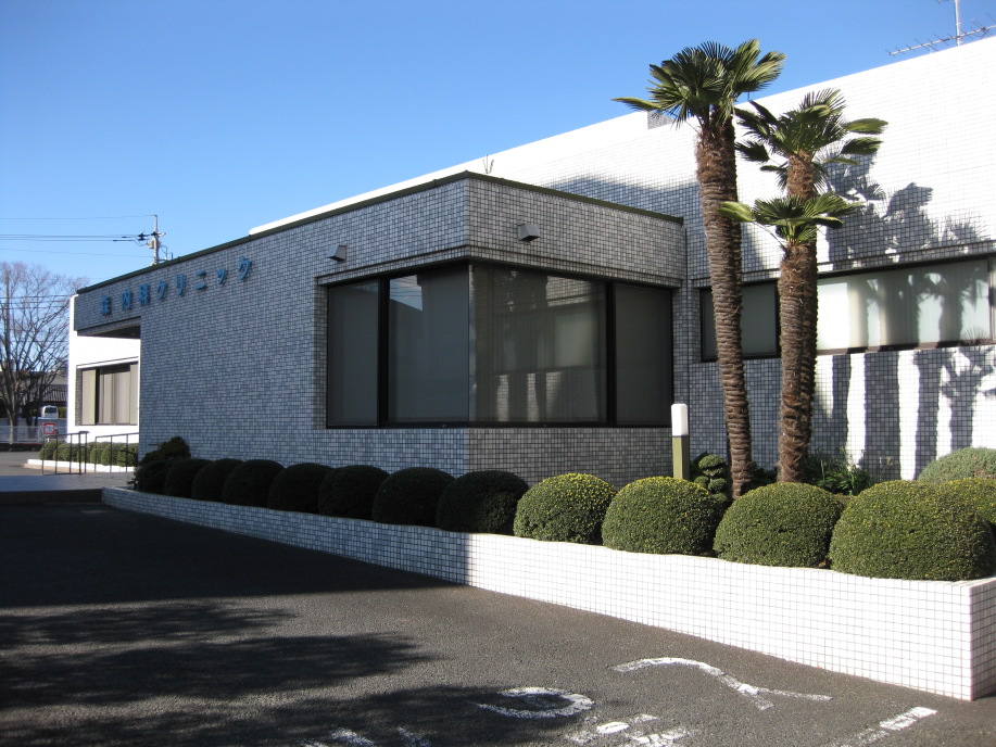 ラクダ 総合病院
