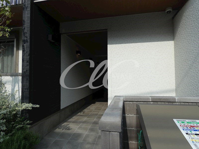 COTTONY その他