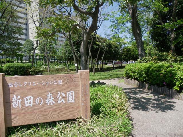 サンシティ・ヨシダ 公園