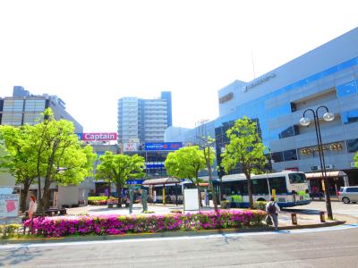 キャビンクルーズ 公共施設