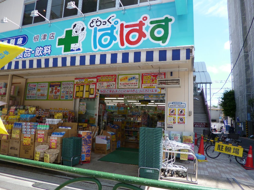 フラット根津 ドラッグストア