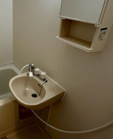 ステラ仲町 洗面所