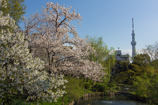 GRADUS東向島 公園