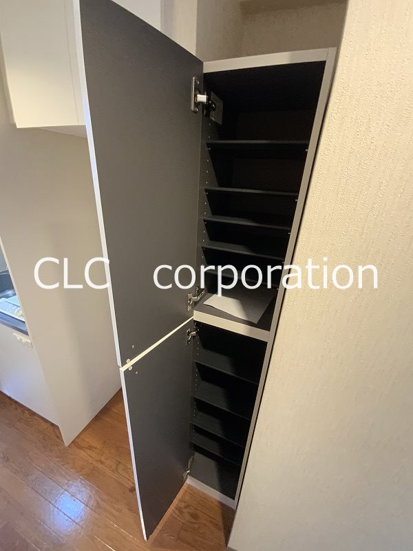 スプリングライト その他