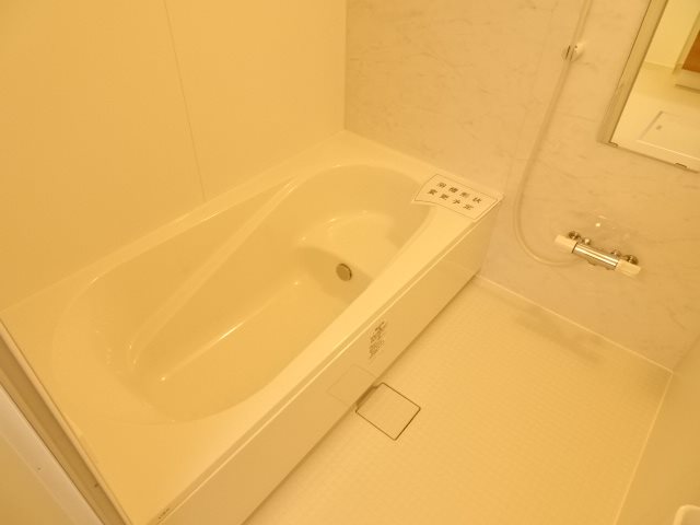 ララパルフェ薬師堂 風呂画像