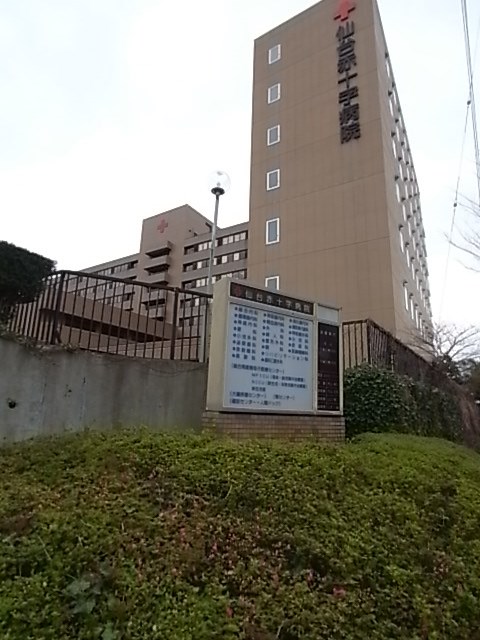 フィオーレ八木山 総合病院