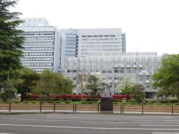 ソレアード木町 眺望