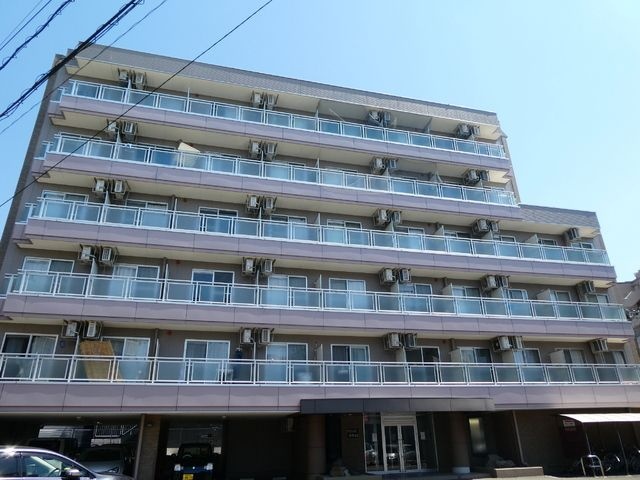 アクシスオオスミ 外観