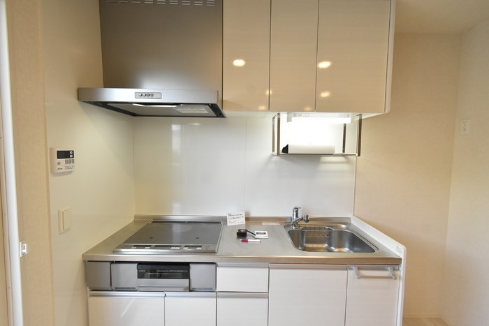 ビエンナ その他2