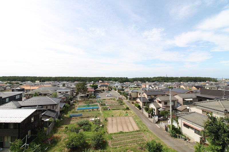 Ｌｕｃｅ　ｓｏｌａｒｅ その他10