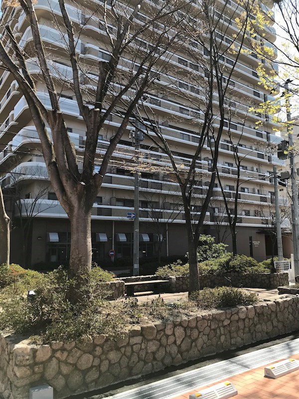 Kaya sumi topia その他17