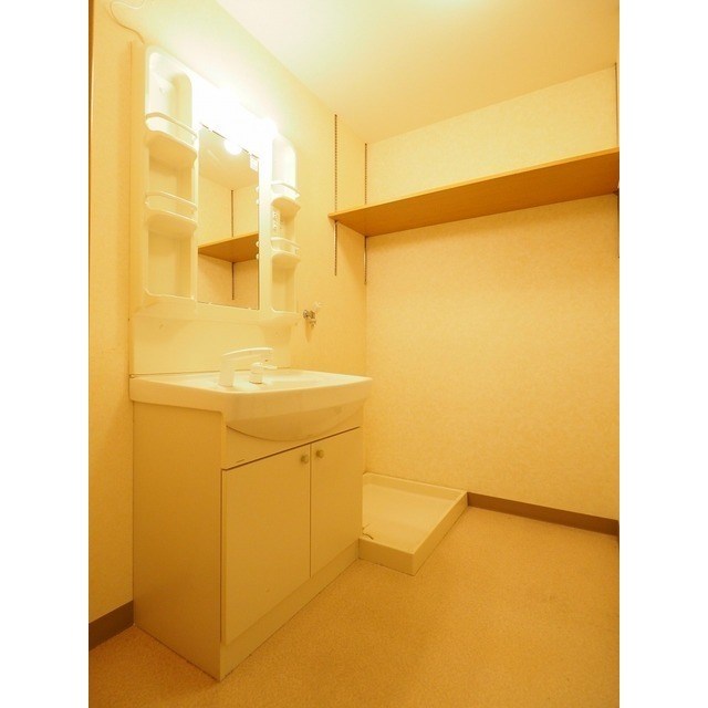 フェリシア柳都 その他4