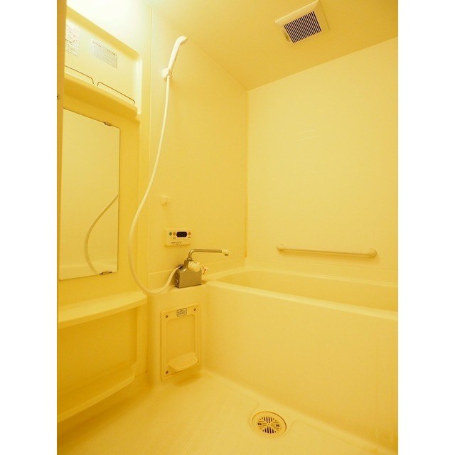 フェリシア柳都 その他5