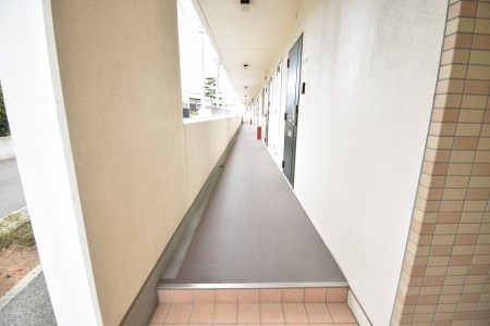 ウィステリア その他19