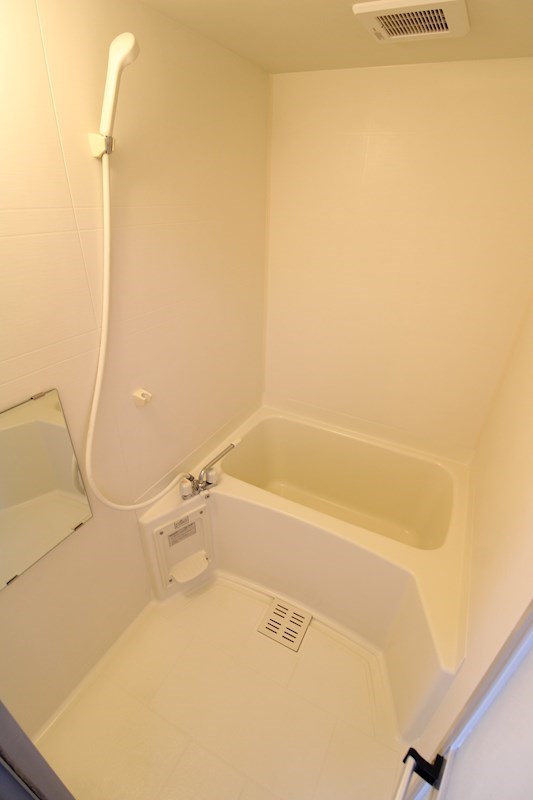 パインテイル その他3