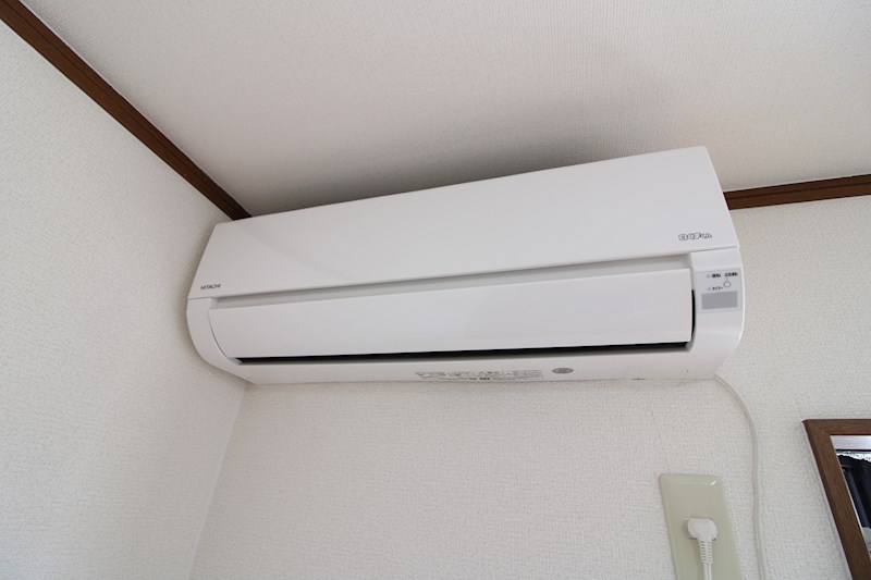 パインテイル その他8