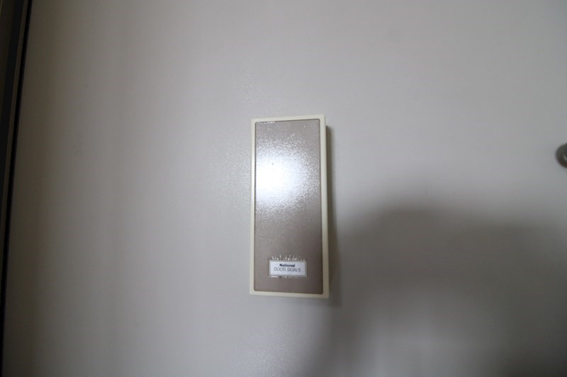 パインテイル その他10