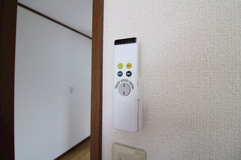 パインテイル その他11