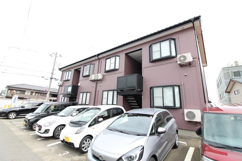 パインテイル その他13