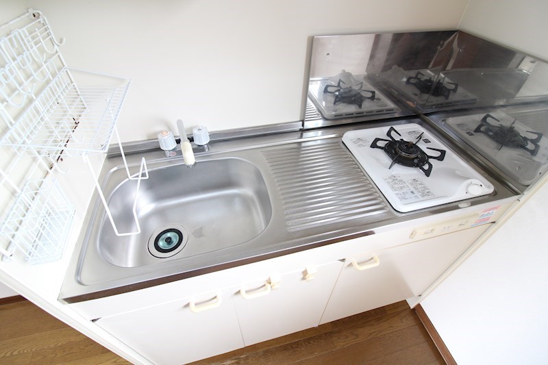 パインテイル その他14