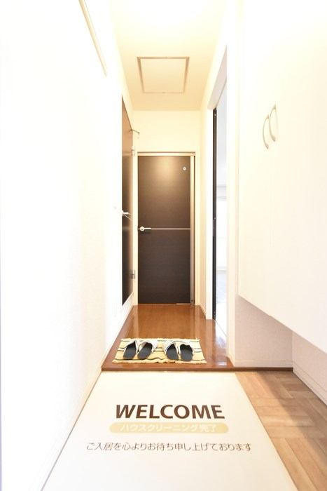 アクシスB その他6