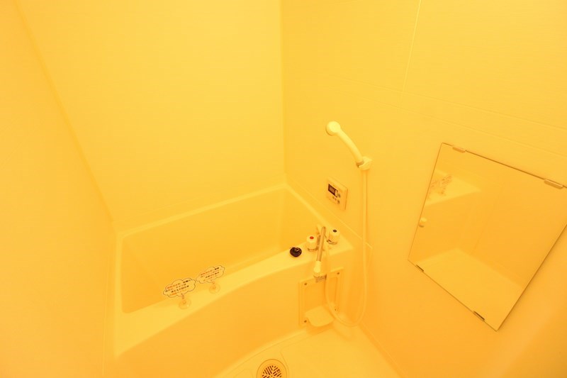 ＶＡＬＩＳ その他3