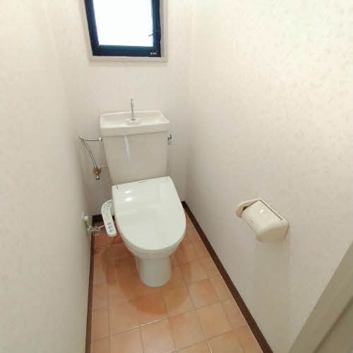 ホワイトピアニ その他4