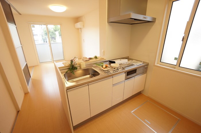 フレッサ その他2