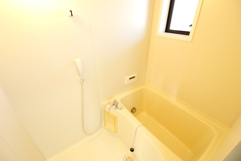 リンクス10 その他5